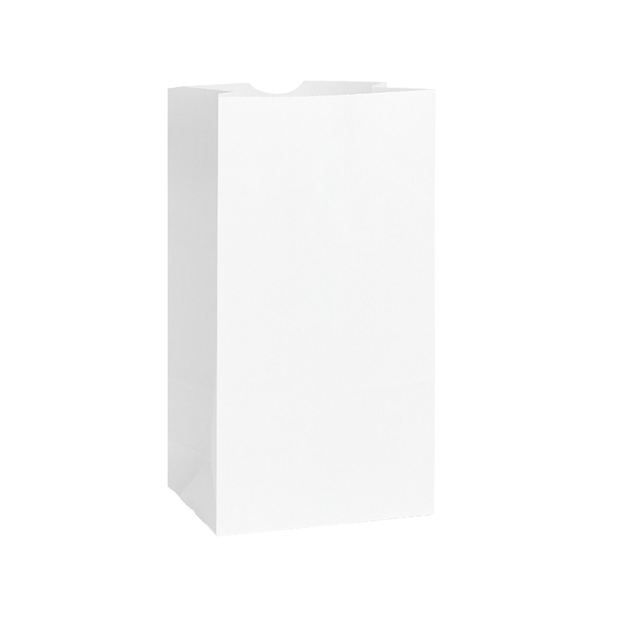 #20 - 8.25" x 5" x 15.75" - Prescription Bags - White Grocery Bags - Carton of 500 - KIS PAPER - 6027; $0.211/pc